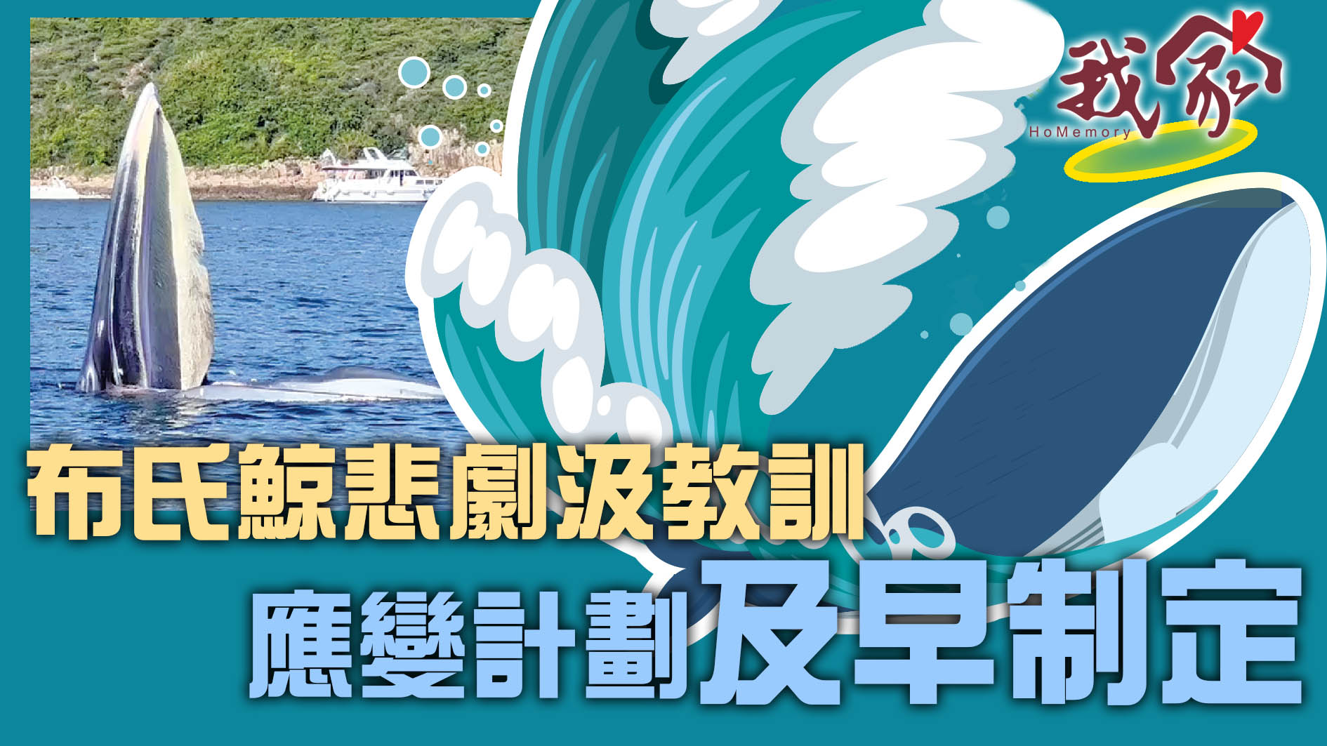 (西貢)布氏鯨悲劇汲教訓 應變計劃及早制定